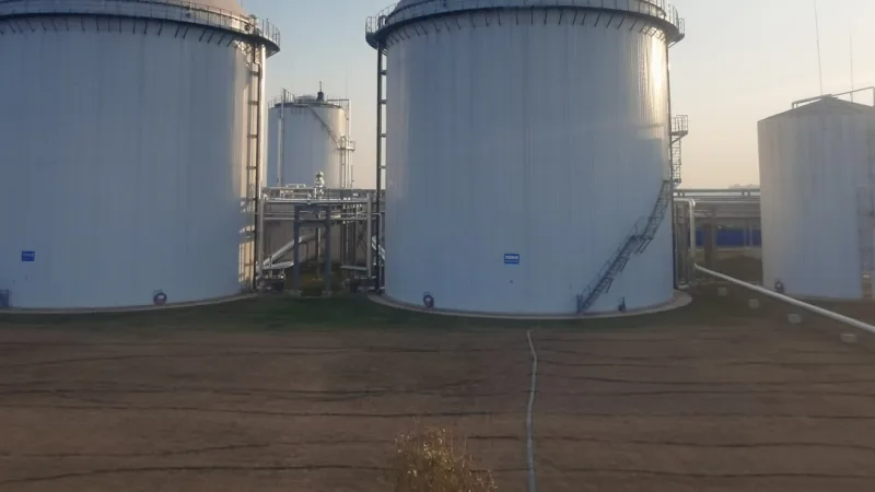 Biogas Renewable Generation Double Membrane Holder Project