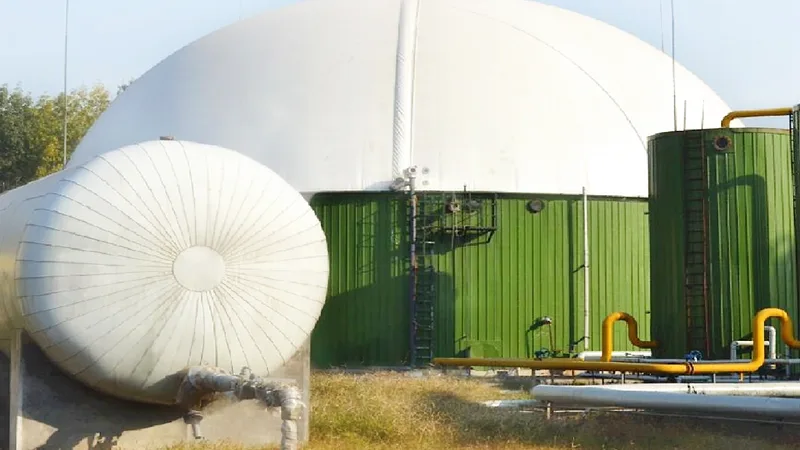 Food Processing Biogas Storage Tank Solution