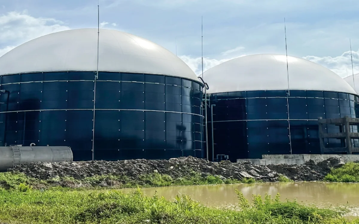 livestock manure treatment project with membrane gas holder and industrial biogas storage system