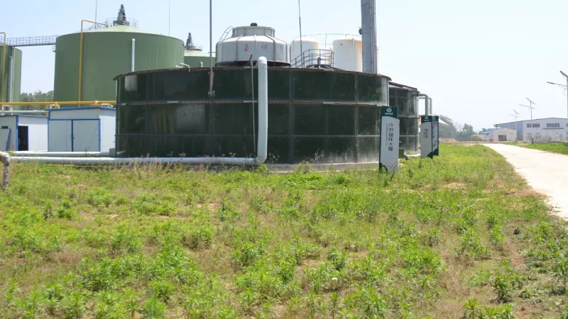 Sugar Industry Wastewater Membrane Gas Holder Project