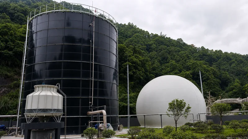 Biogas Storage Tanks