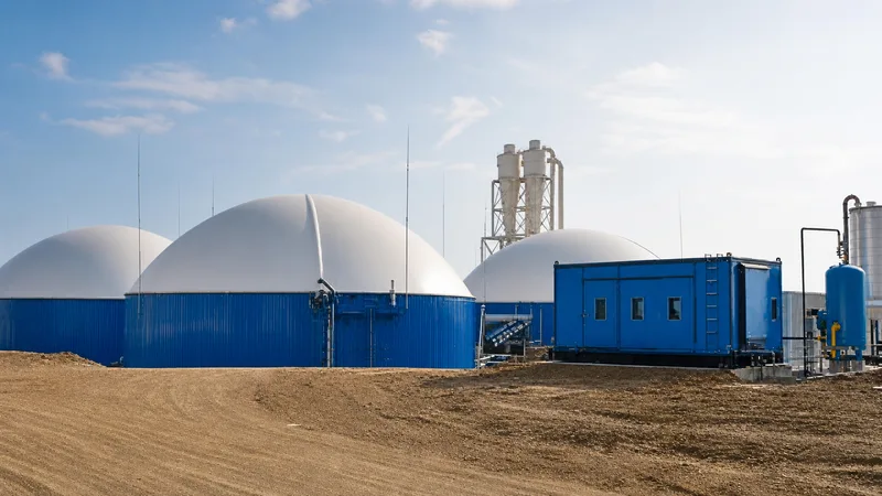 Biogas Digester Tank Projects